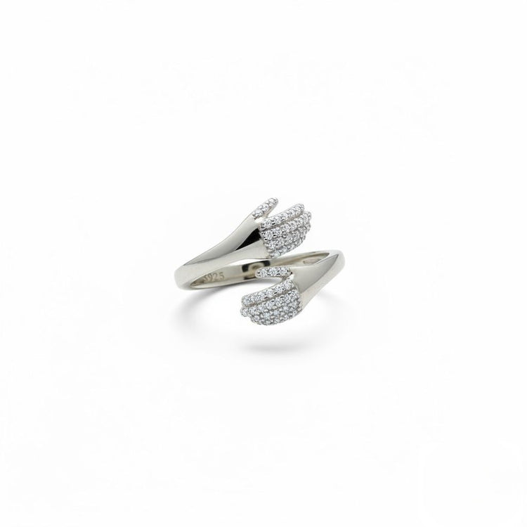 Anillo con cubics